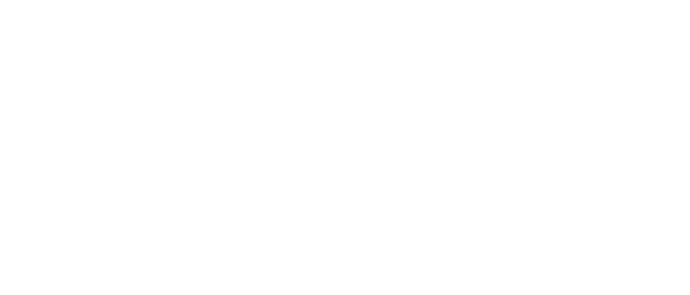 logo konceptu websolutions & afins