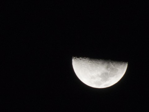 Moon Picture